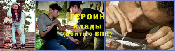 сатива Заполярный