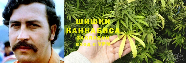 тгк Няндома