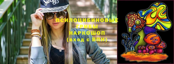 spice Новозыбков