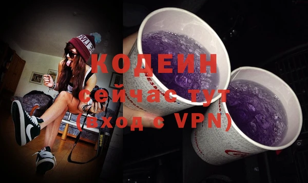 тгк Няндома