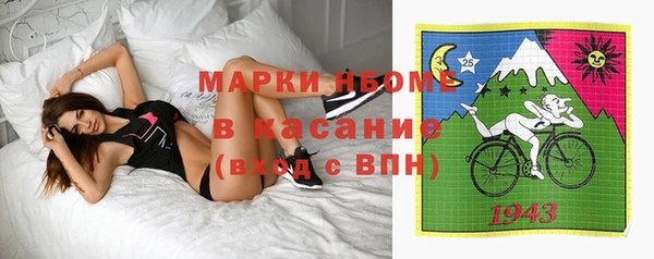 гашик Новокубанск
