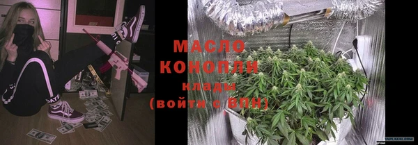 ГАЛЛЮЦИНОГЕННЫЕ ГРИБЫ Заречный