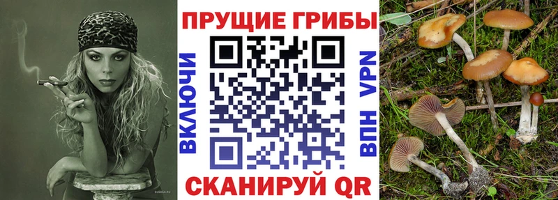 мега как зайти  Кимры  Псилоцибиновые грибы ЛСД 