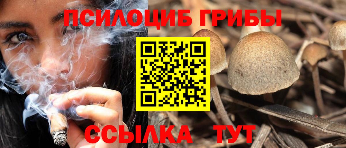 Галлюциногенные грибы мухоморы Кимры