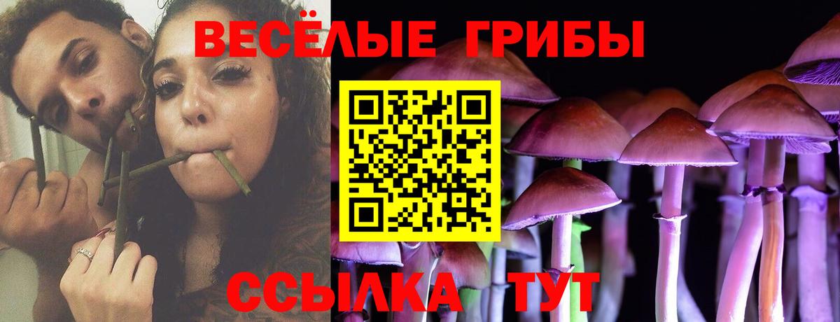 Кимры  Псилоцибиновые грибы ЛСД  Псилоцибиновые грибы MAGIC MUSHROOMS  Вход с VPN 